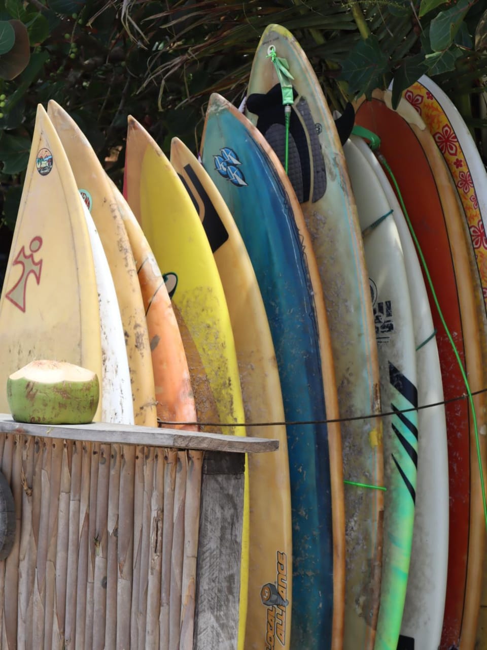 Chill and Surf Mendihuaca Bed and Breakfast in Magdalena, Colombia