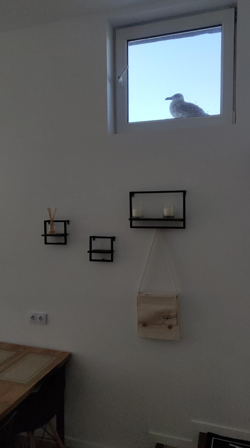 Apartament 4 Piętro Apartment in Sopot