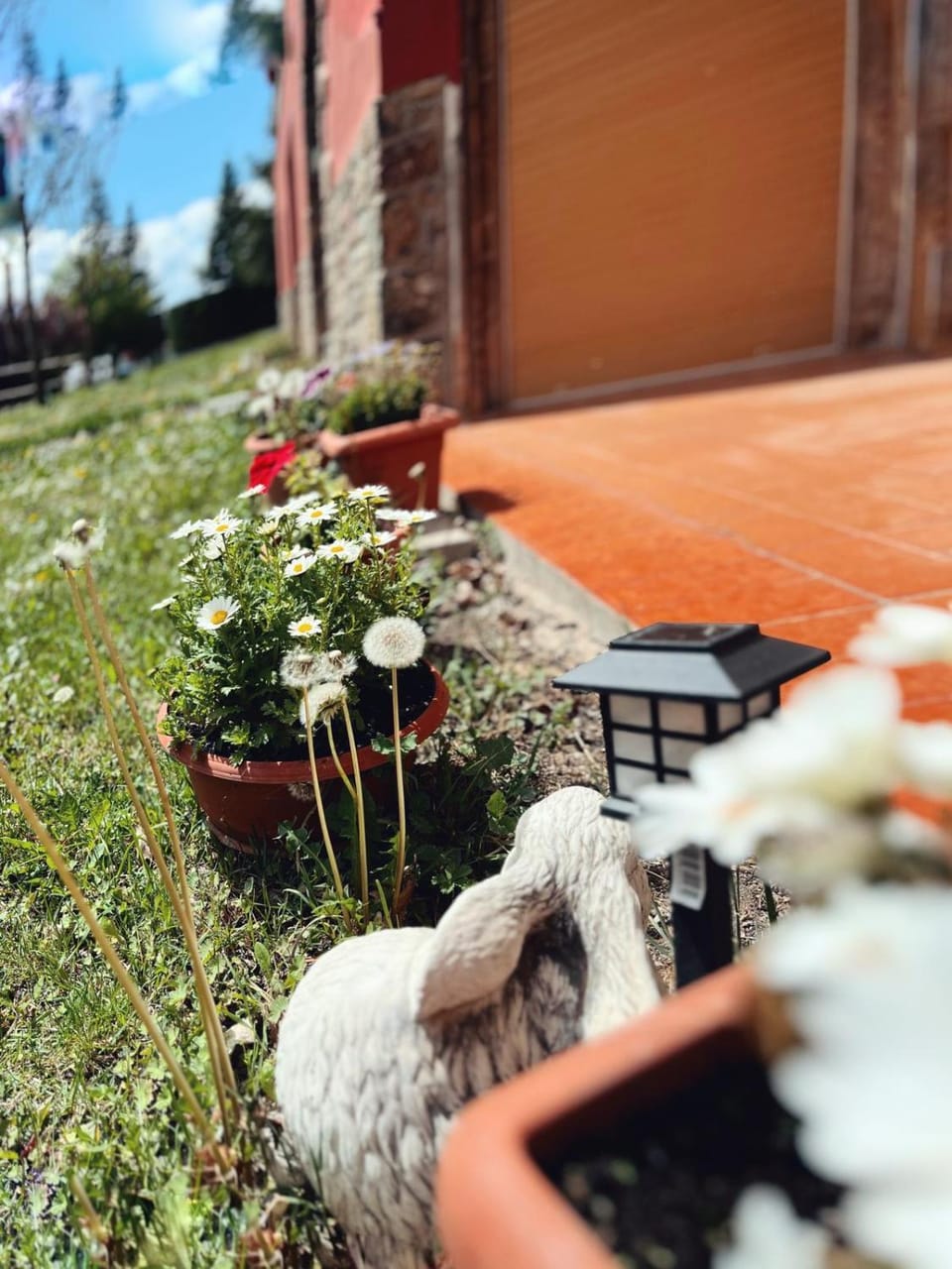 Spring, Day, Garden view
