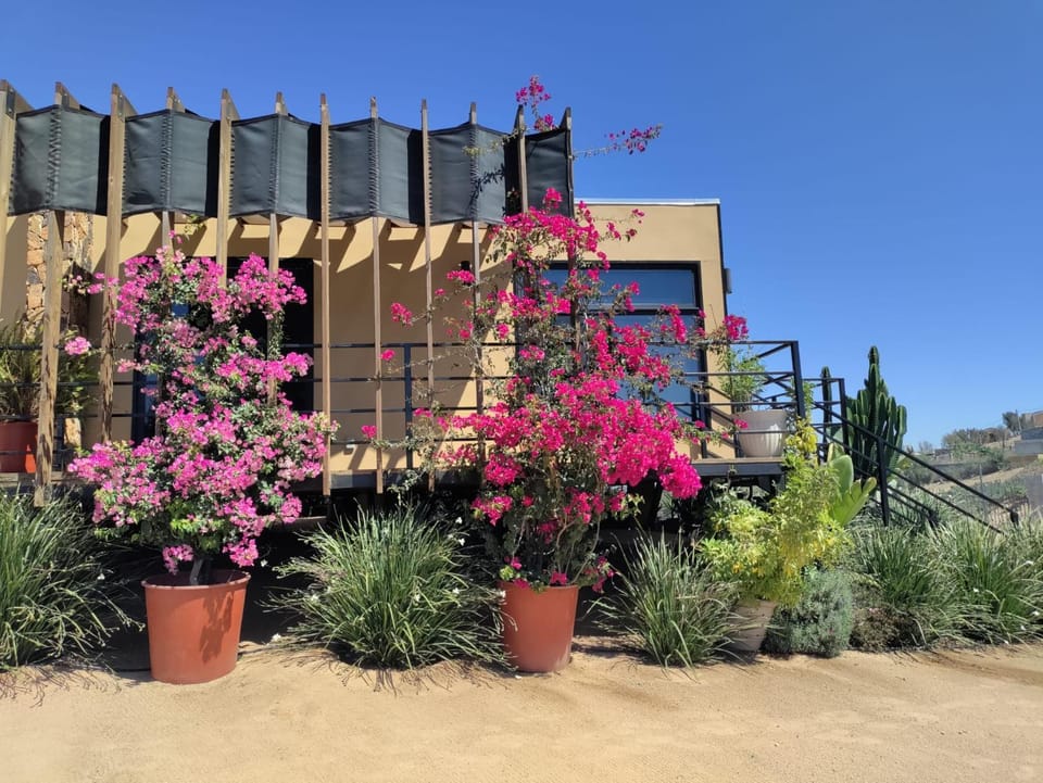 Spring, Garden, Garden view