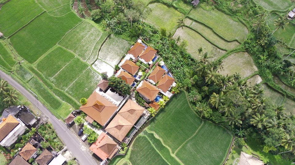 Natural landscape, Bird's eye view, Garden