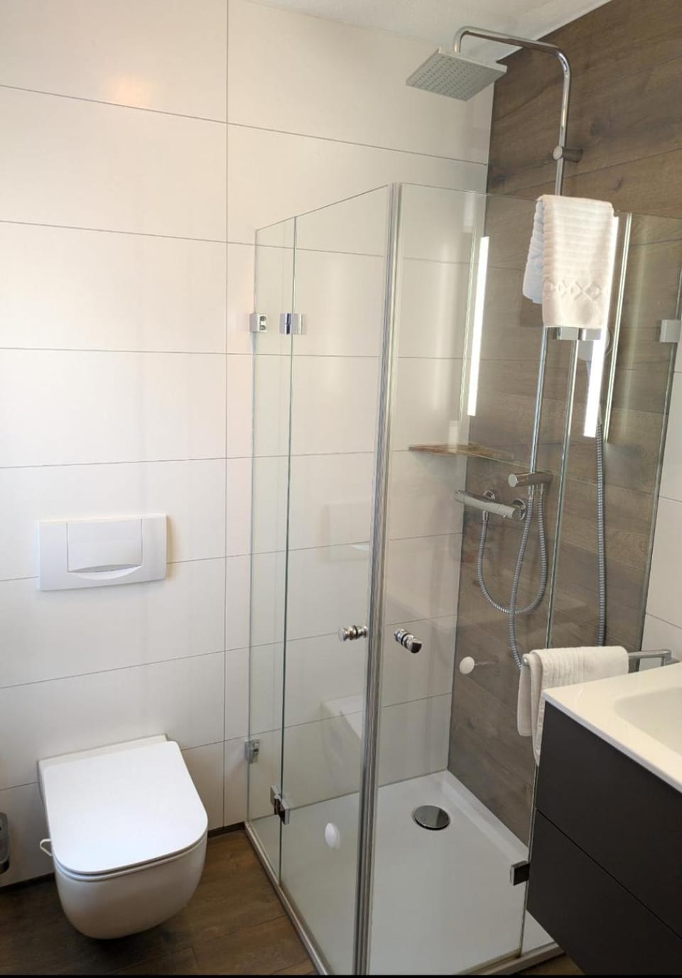 Shower, Toilet, Bathroom, towels