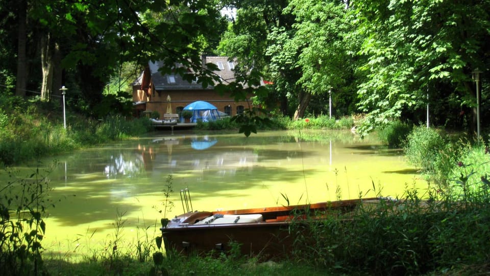 Garden view, Garden view, Lake view