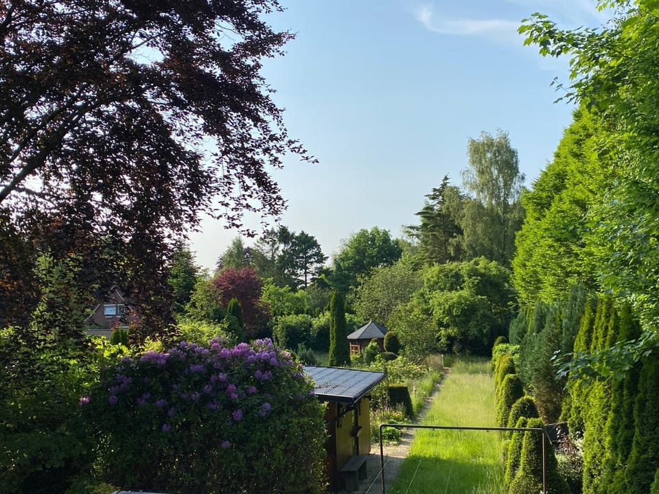 Garden, Garden view