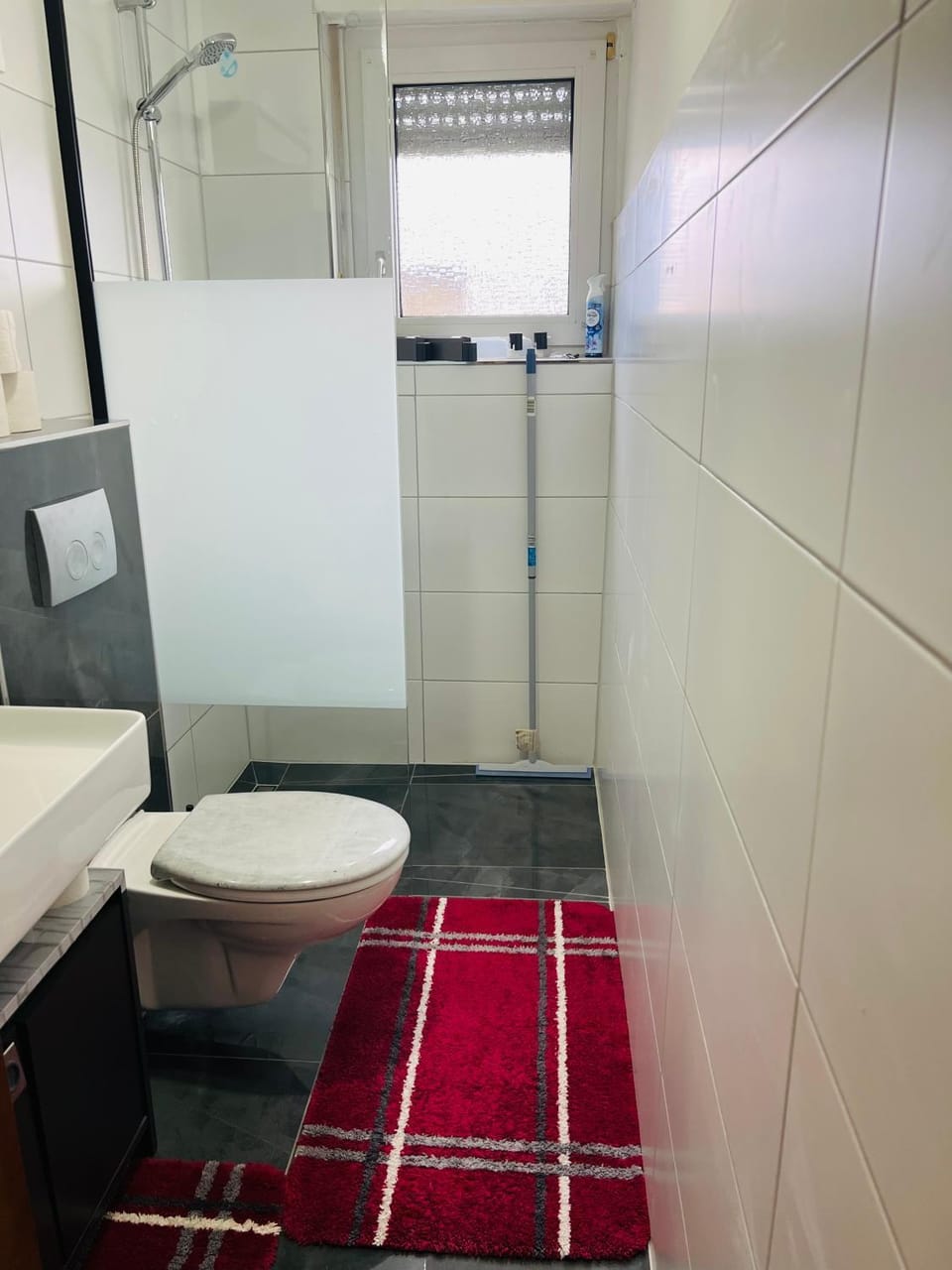 Birgeler Home Apartment in Vulkaneifel