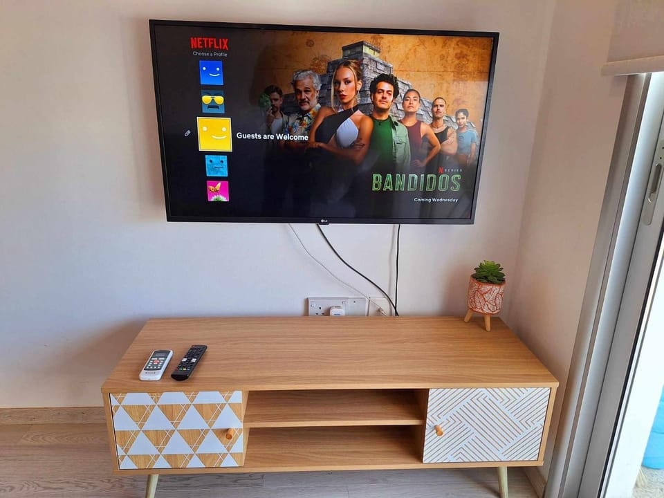 TV and multimedia