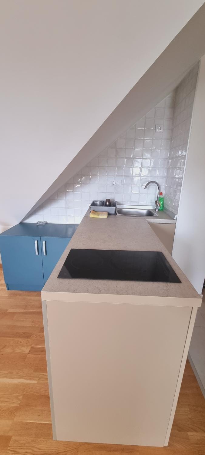 Apartman Centar Uroš Apartment in Zlatibor