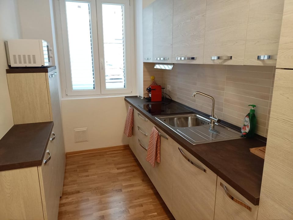 Kitchen or kitchenette, dishwasher, minibar, stove
