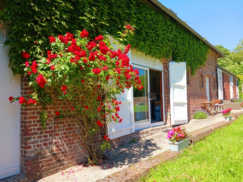 Garden, Garden view
