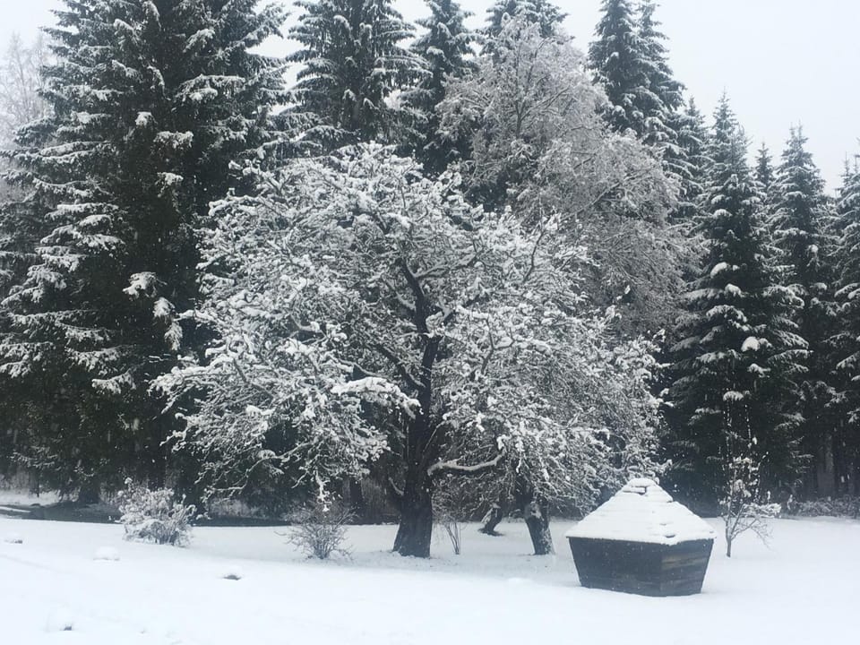 Winter