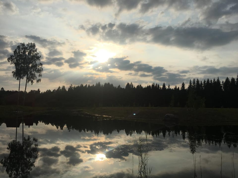 Lake view