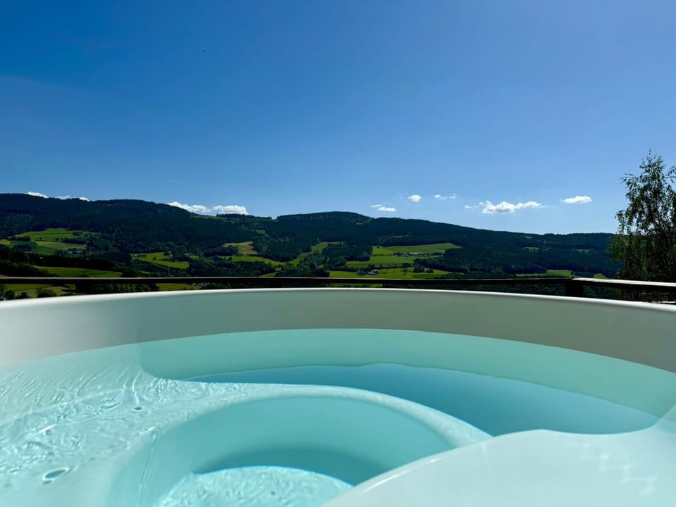 Spa and wellness centre/facilities, Swimming pool