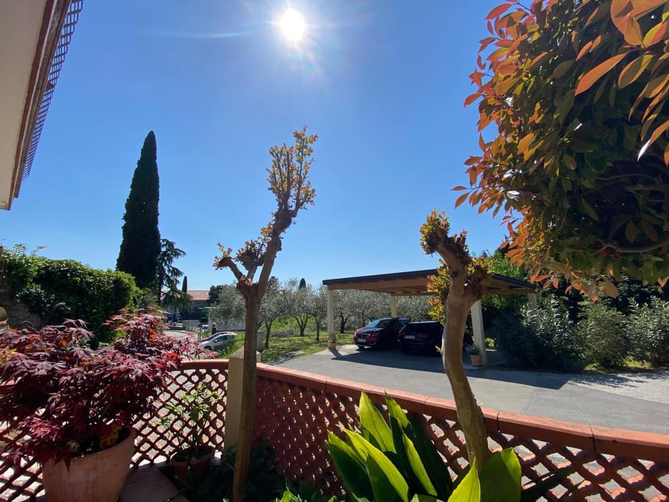 Garden view