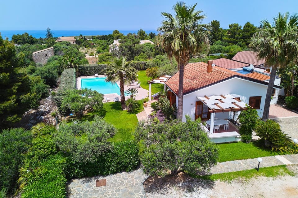 Day, Bird's eye view, Garden, Swimming pool