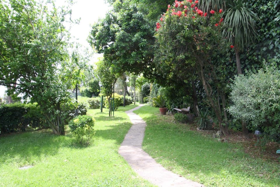 Garden view