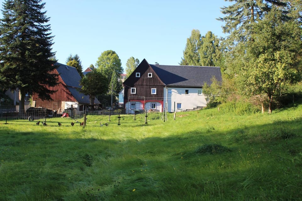 Property building, Garden