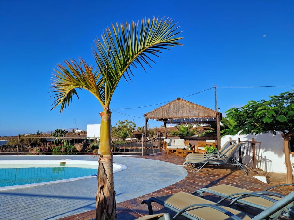 Garden, Garden view, Swimming pool, Swimming pool