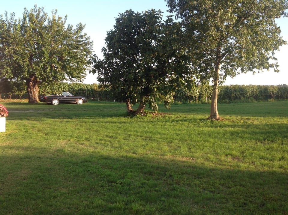 Day, Garden, Area and facilities