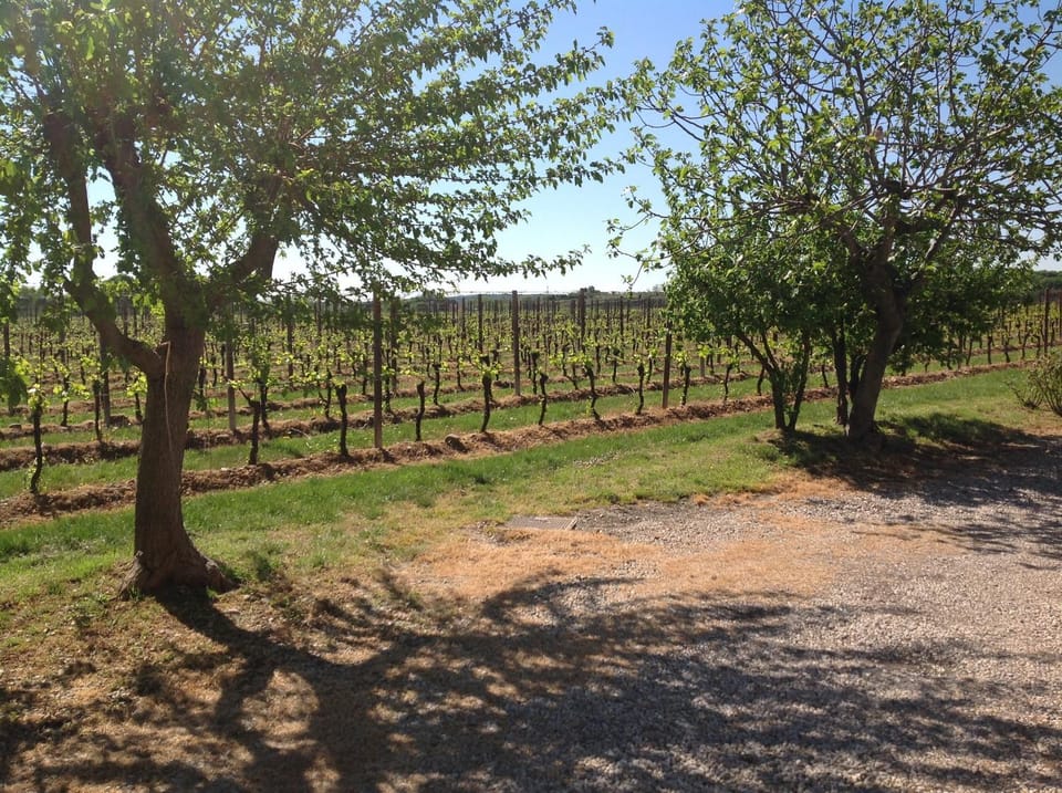 Garden, Area and facilities
