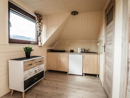 Kitchen or kitchenette, oven, stove