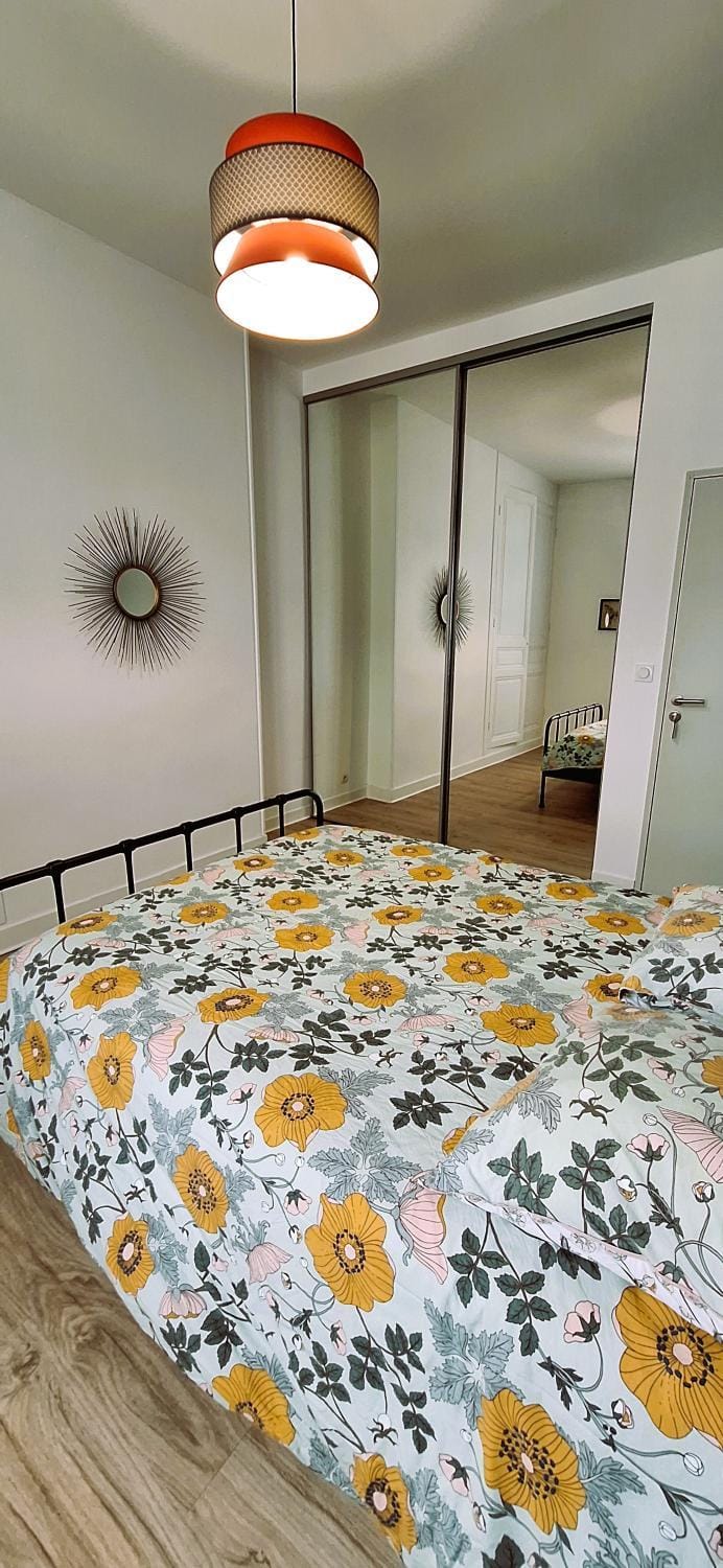 Histoire de Loire - BALZAC Bed and Breakfast in Saumur