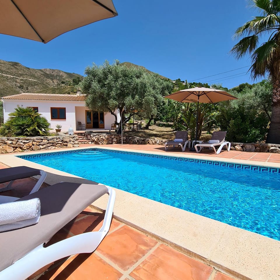 Property building, Swimming pool, sunbed