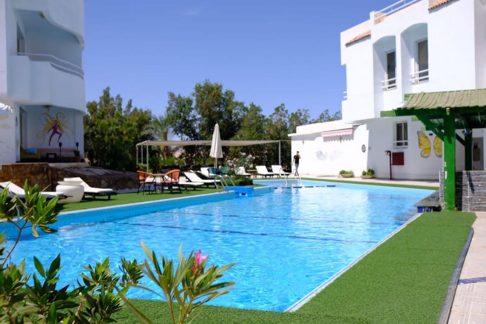 Swimming pool, Swimming pool