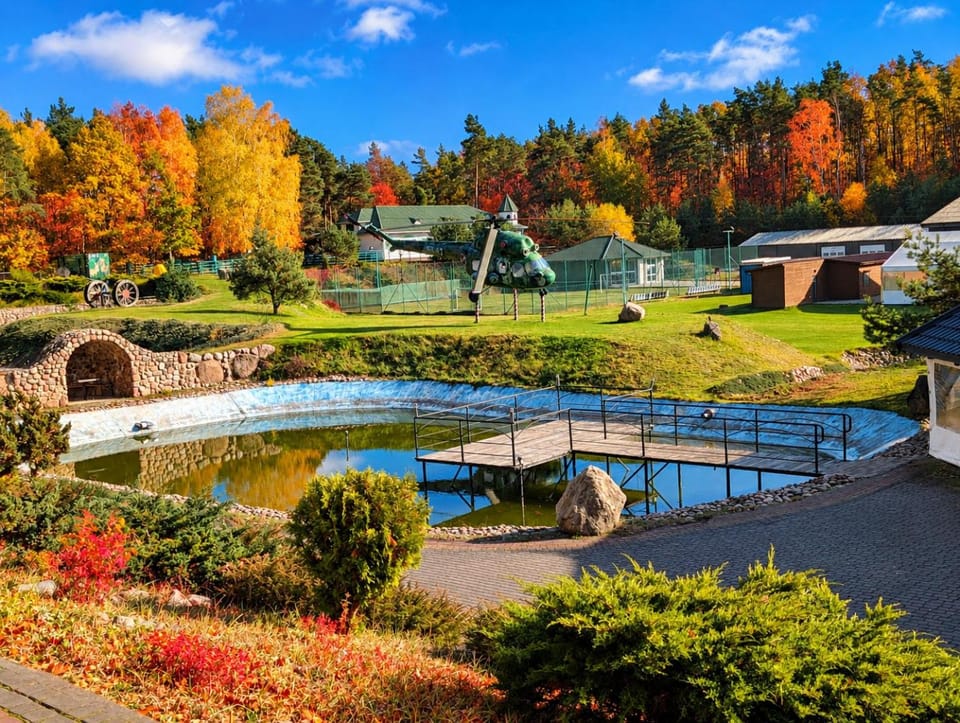 Garden, Autumn