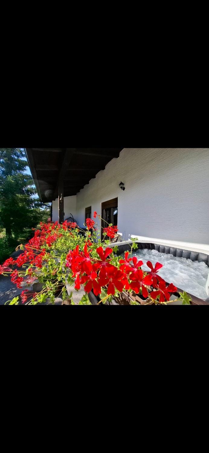 Balcony/Terrace, Garden view