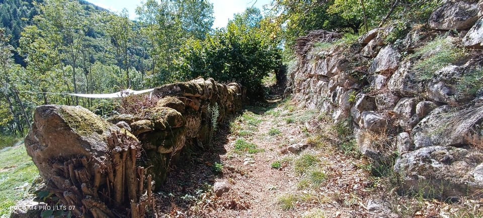 Natural landscape