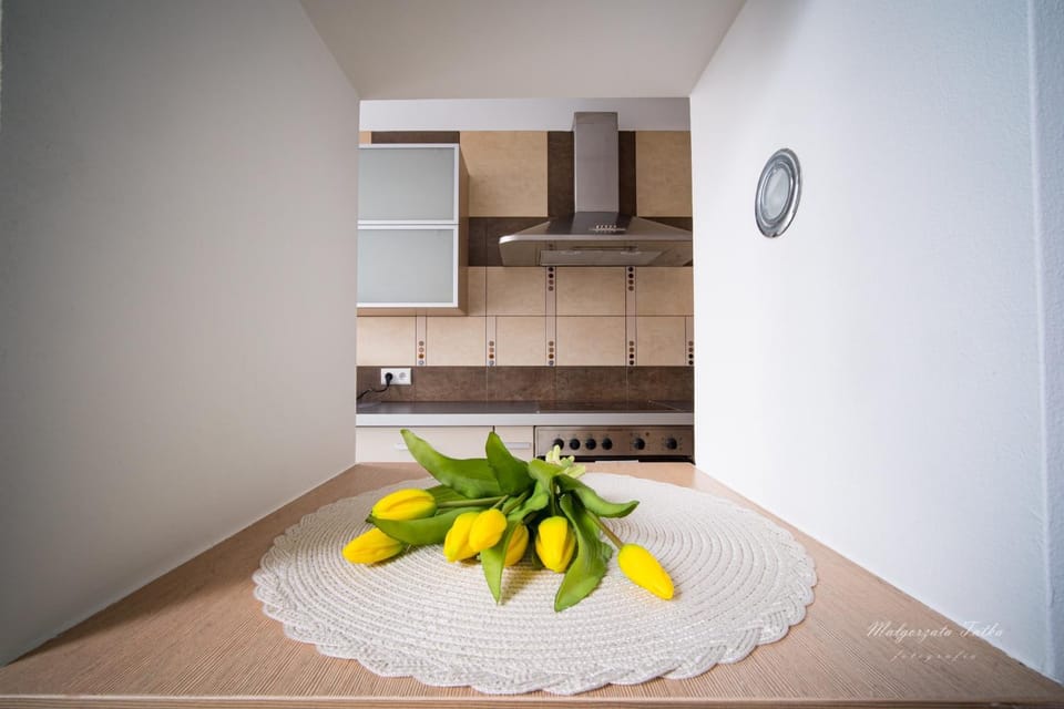 Apartament Best Rest Apartment in Lesser Poland Voivodeship