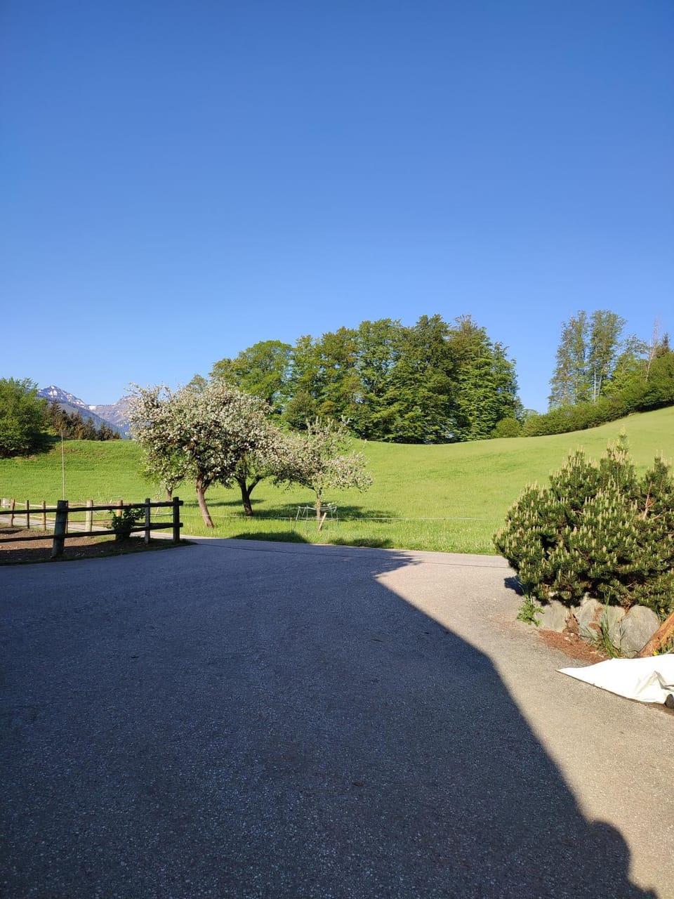 Grafbauer Apartment in Salzburgerland