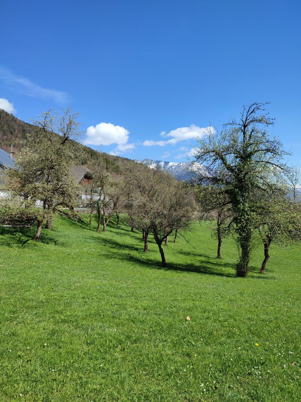 Natural landscape, Garden