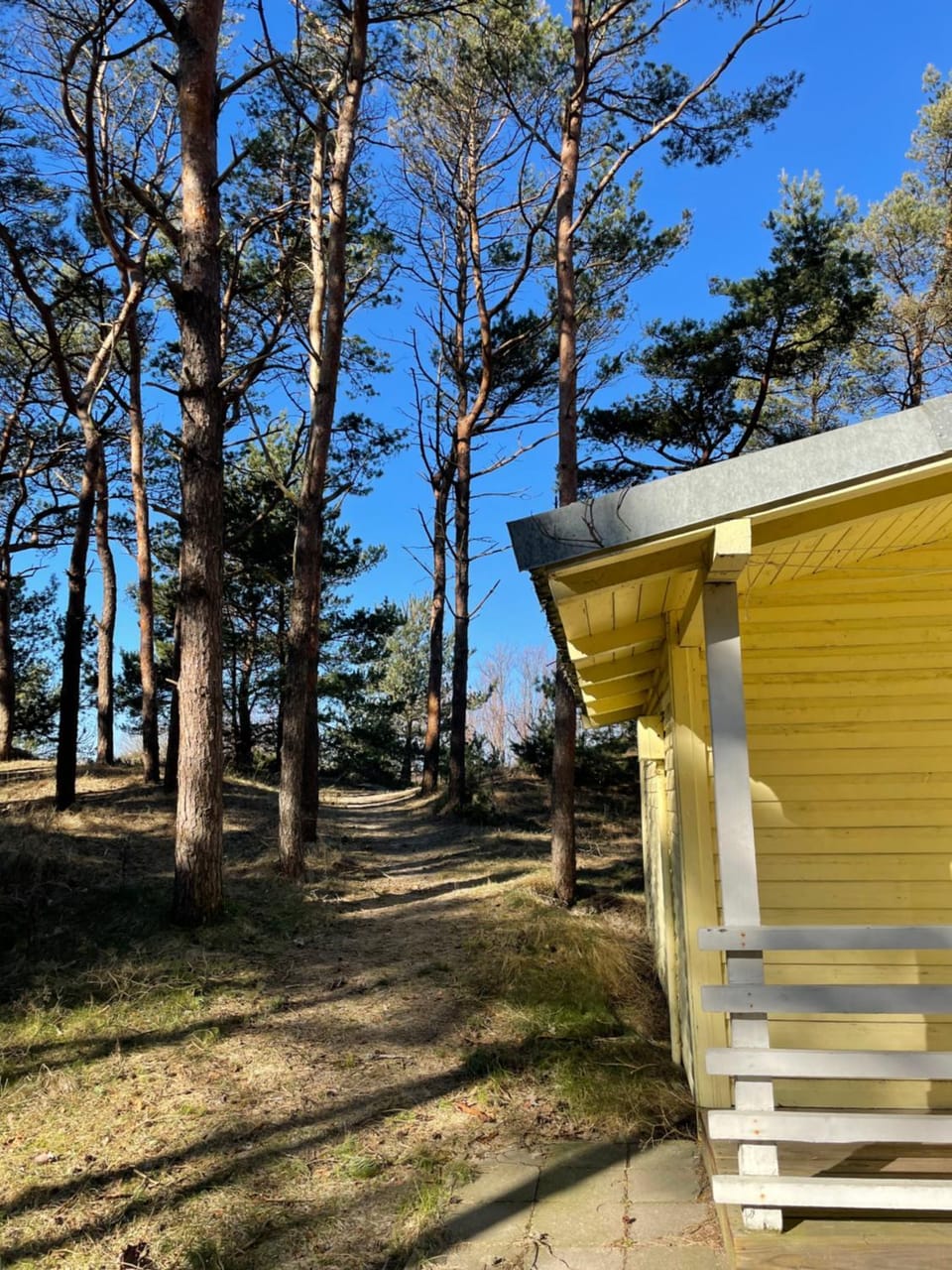Property building, Garden