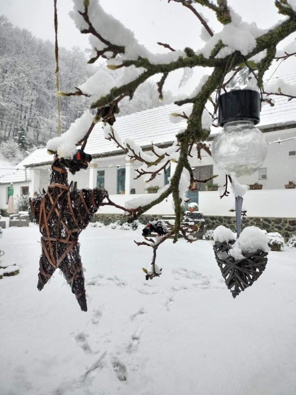 Natural landscape, Winter