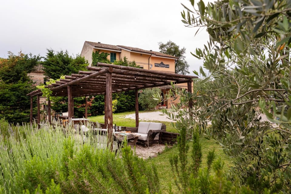 Property building, Patio, Spring, Day, People, Natural landscape, Summer, Garden, Garden view