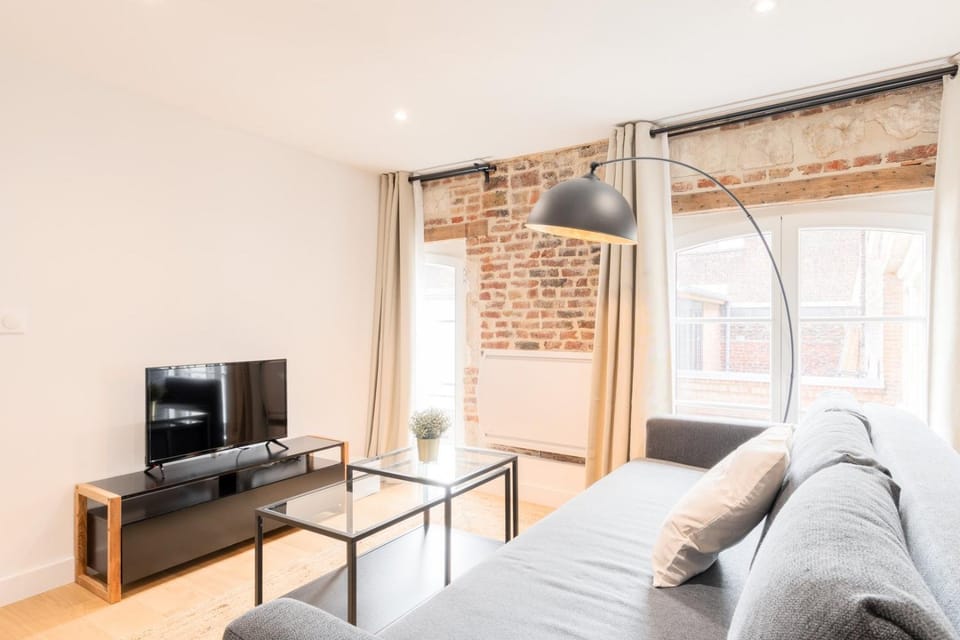 Old Lille - Lovely typical apartment! Apartment in Lille