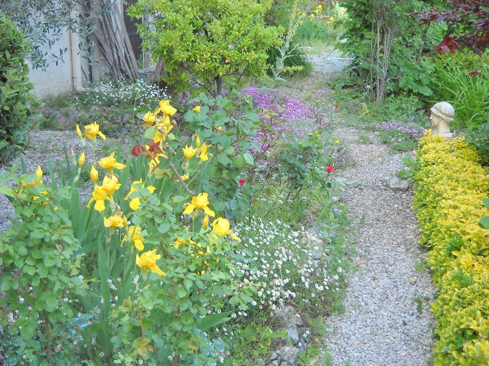 Property building, Spring, Garden