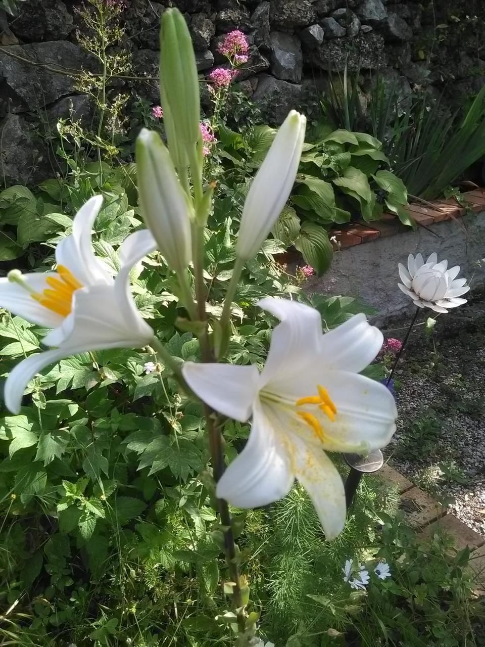Property building, Spring, Garden