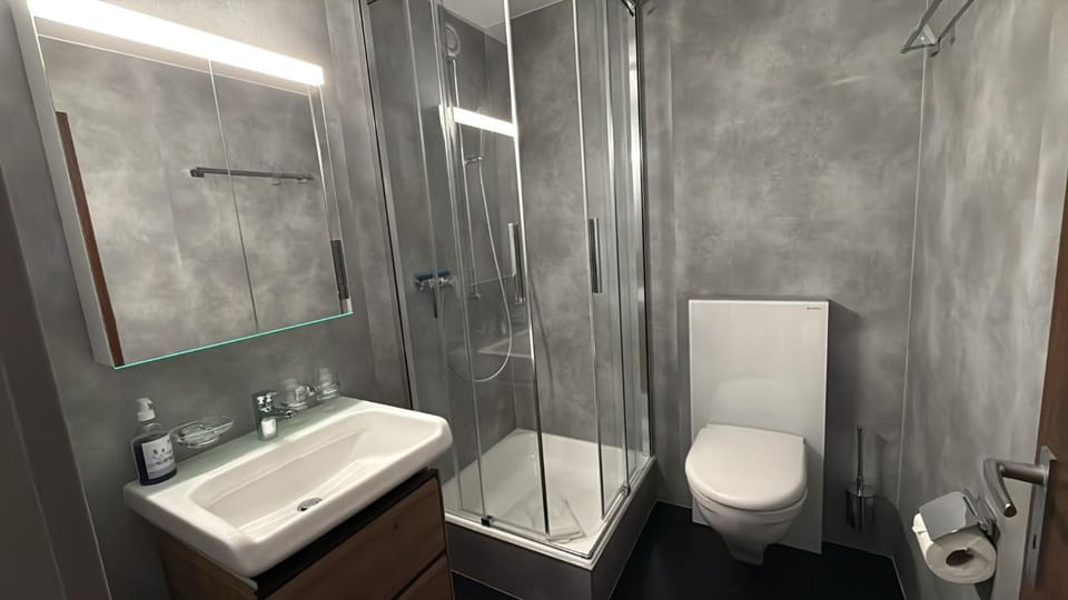 Royal 41 Apartment in Canton of Valais
