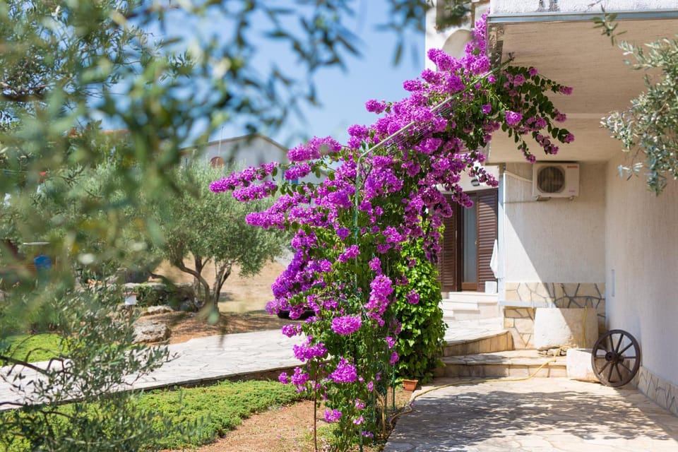 Facade/entrance, Garden