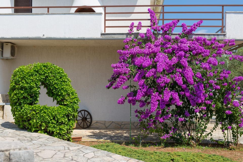 Facade/entrance, Neighbourhood, Garden