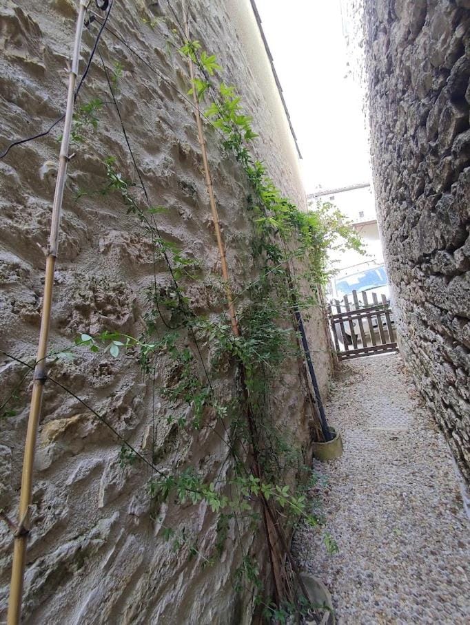 Inner courtyard view