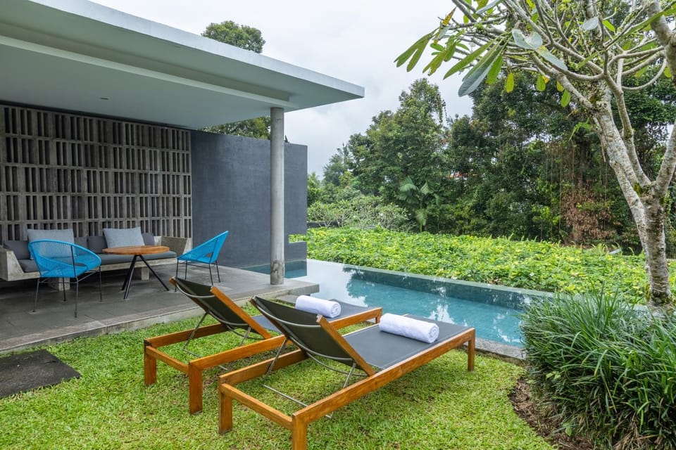Natural landscape, Seating area, Garden view, Swimming pool, sunbed