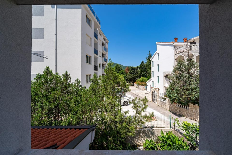 Property building, Garden view