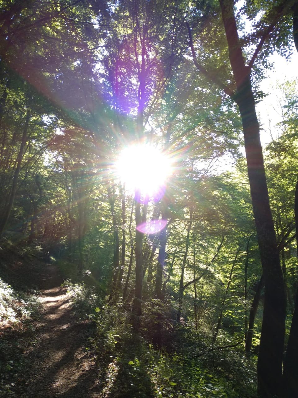 Natural landscape, Hiking, Sunrise