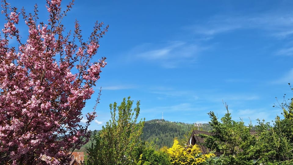 Natural landscape