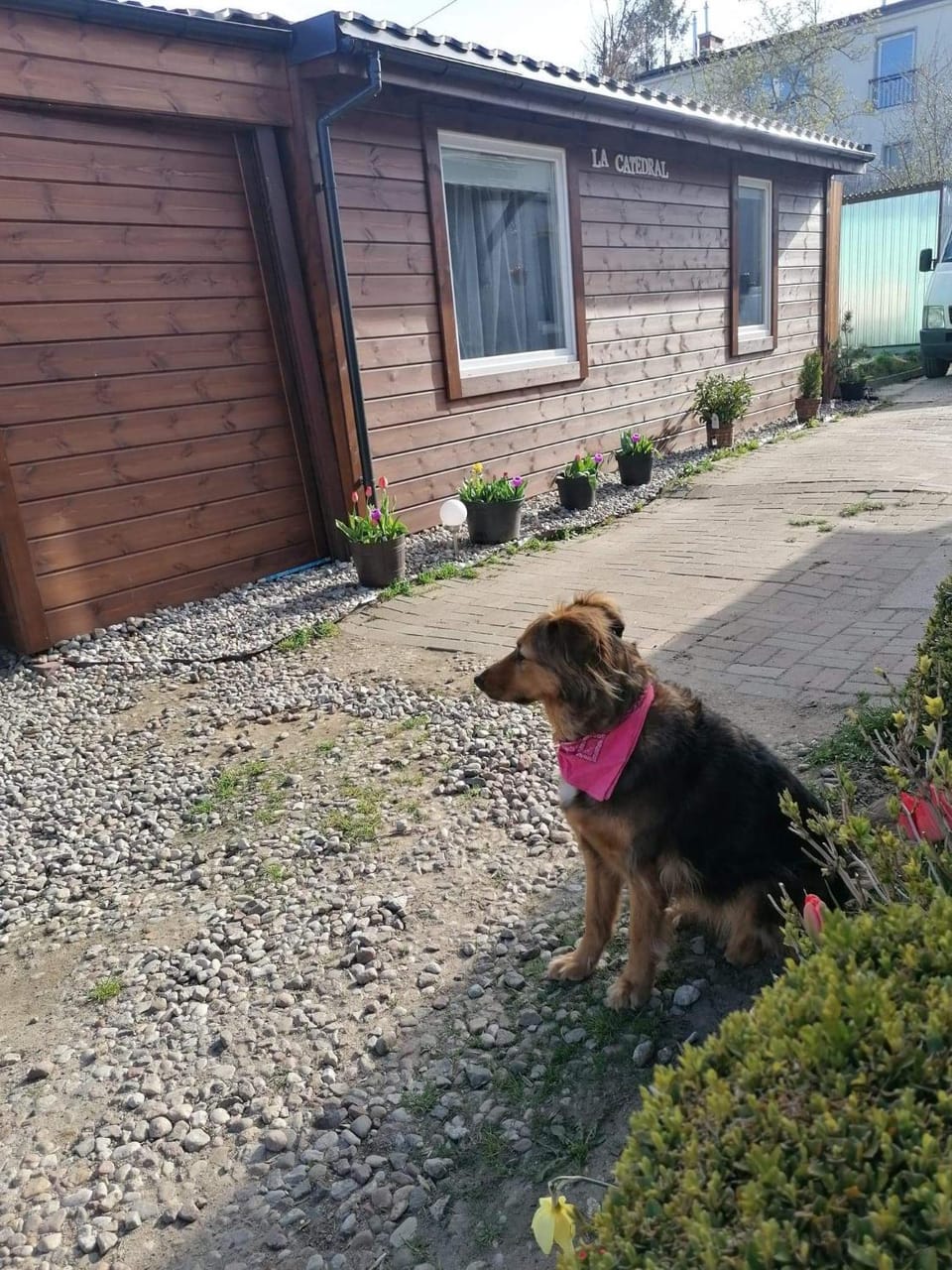 Domek Letni Apartment in Pomeranian Voivodeship