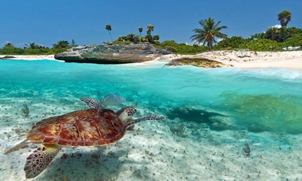 Snorkeling, Beach