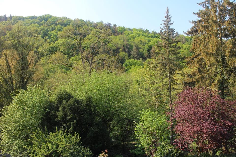 Natural landscape, Mountain view